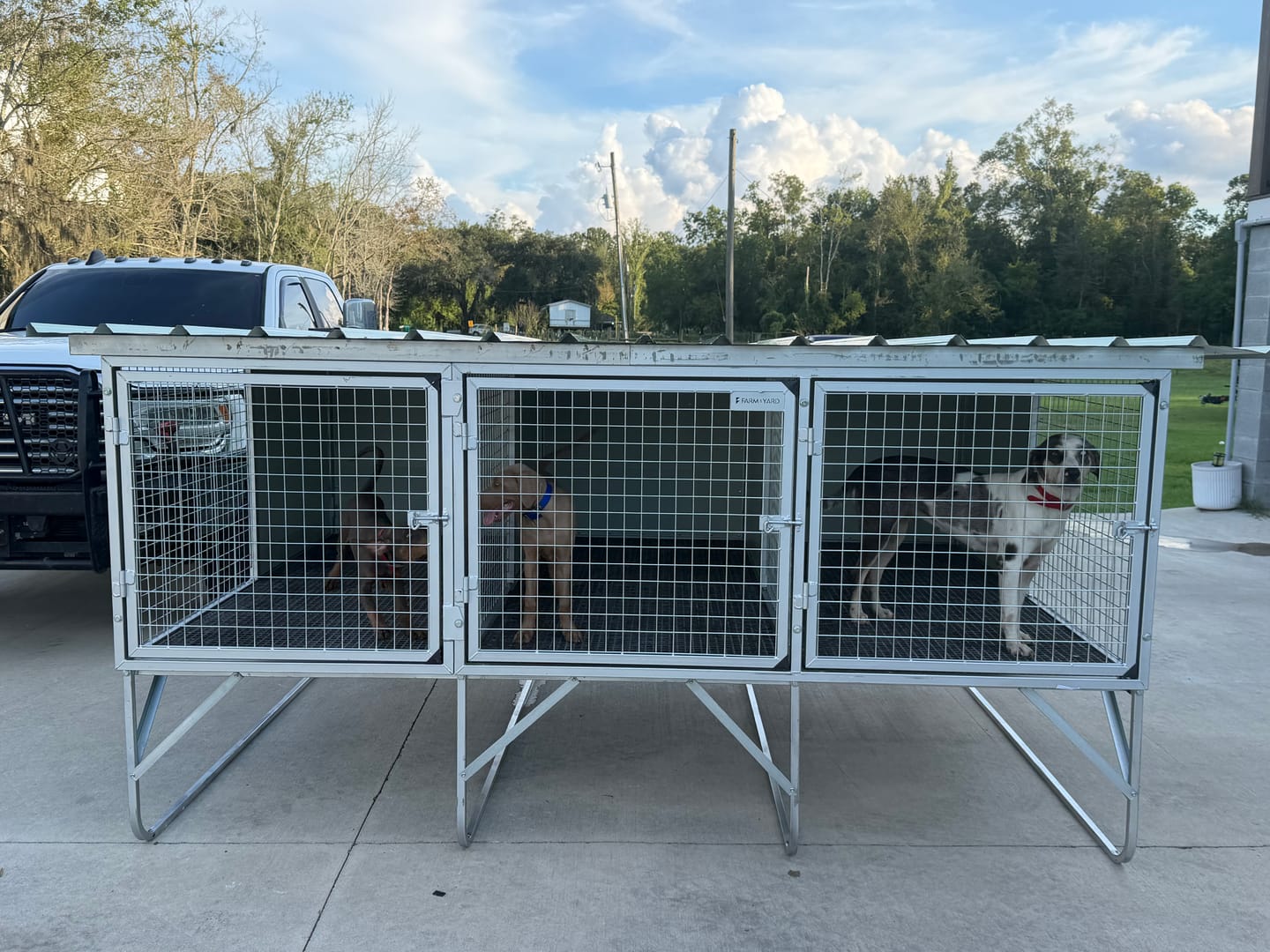 Customer photo review of "Aussie Dog Kennels" Raised Dog Kennel