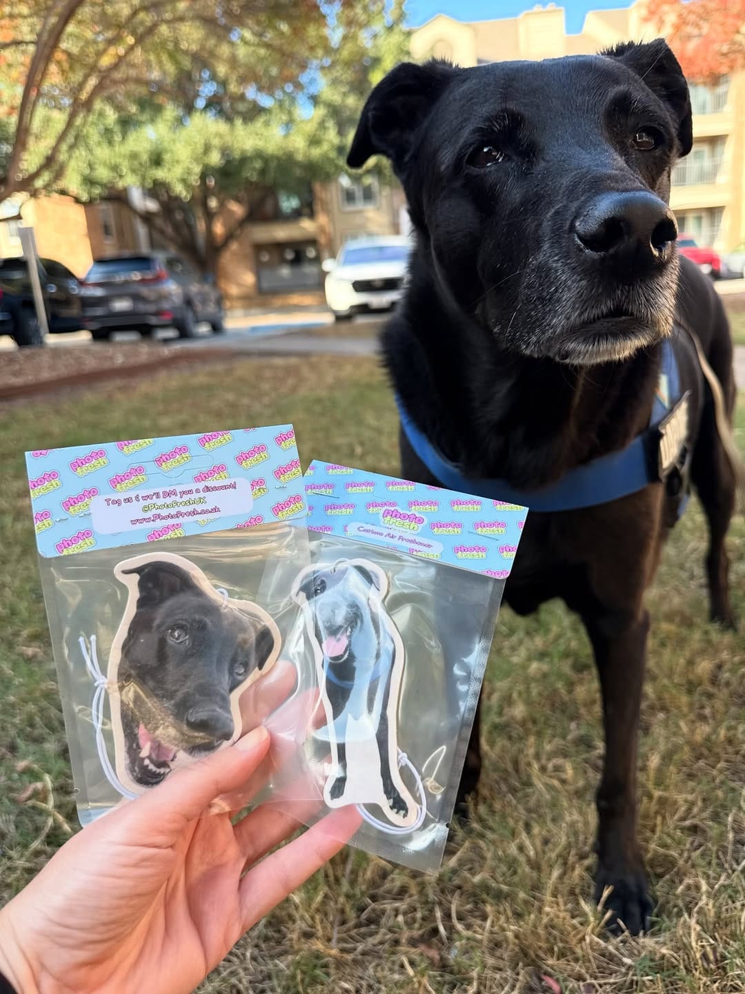Customer photo review of Personalised Car Air Freshener