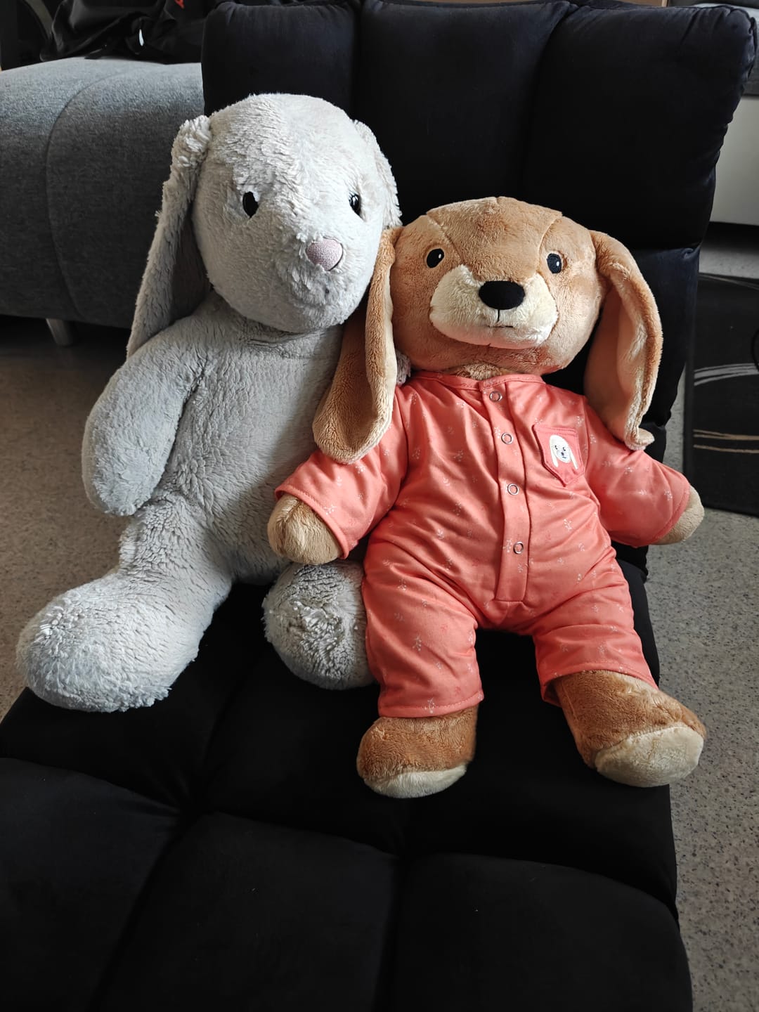 Customer photo review of Lotgenootje Konijn 2kg