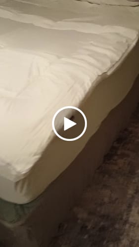 Customer video review of Puff Pillow