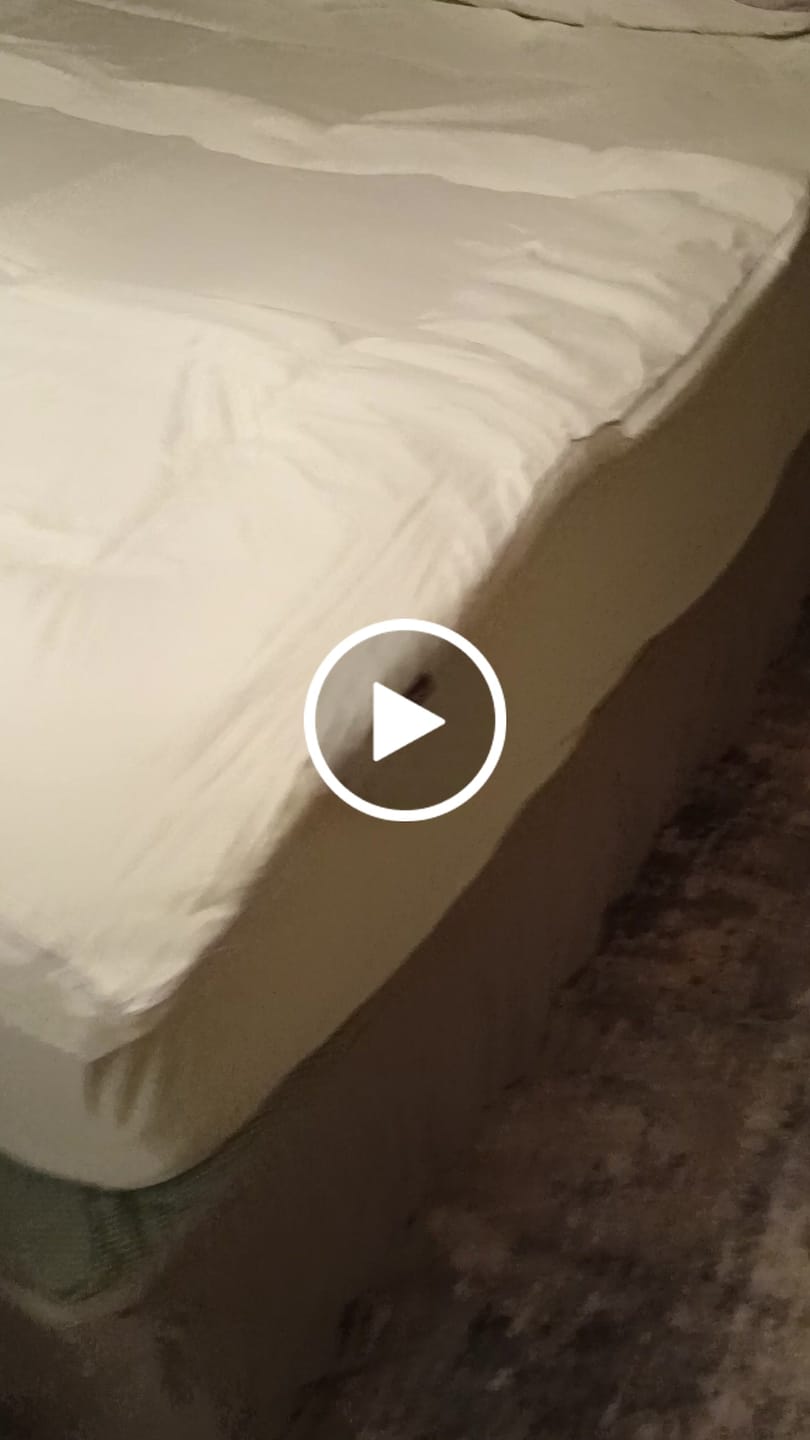 Customer video review of Puff Pillow