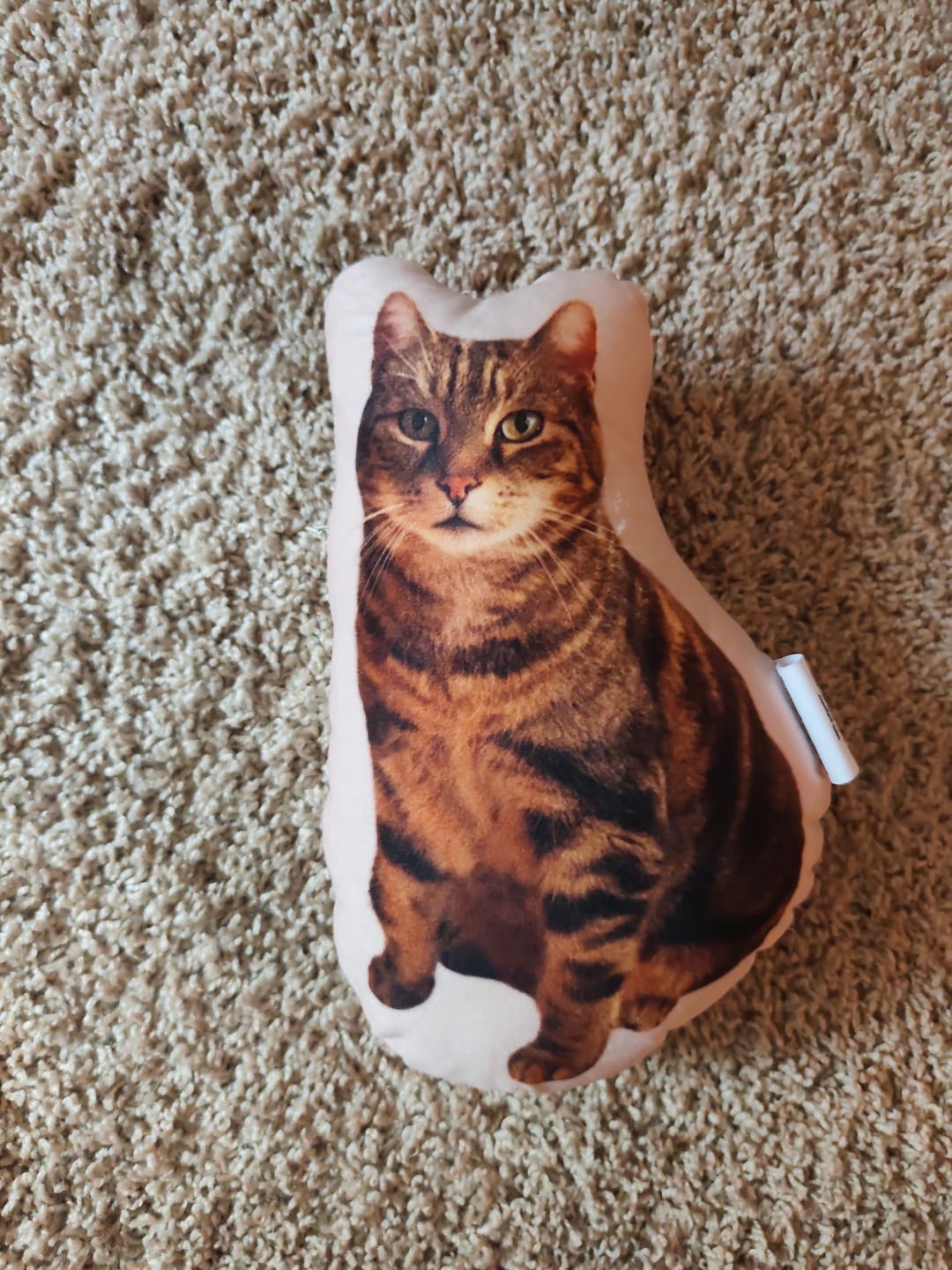 Customer photo review of Personalisiertes Katzenkissen