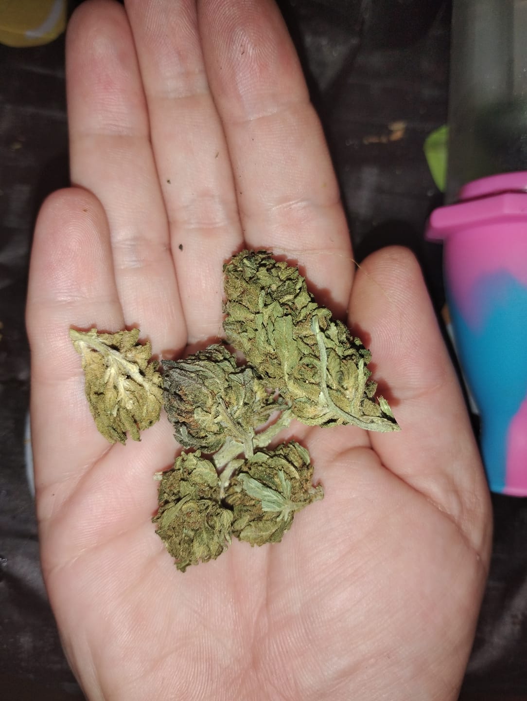 Customer photo review of Night Shade - Bulk - Indica