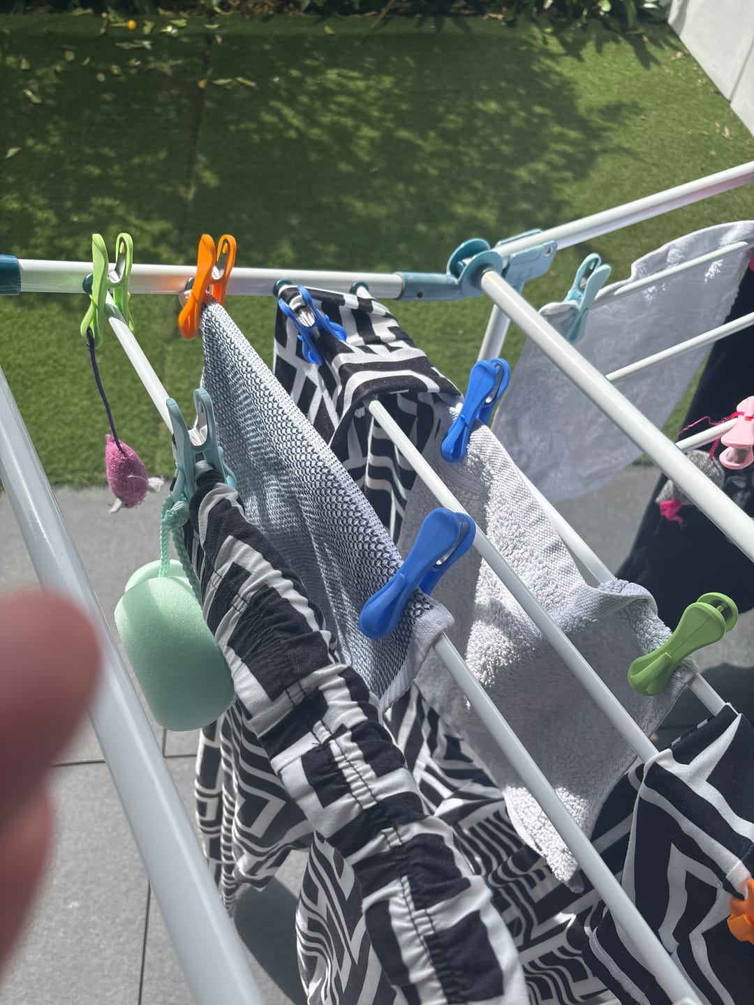 Customer photo review of Hegs Pegs 18pk