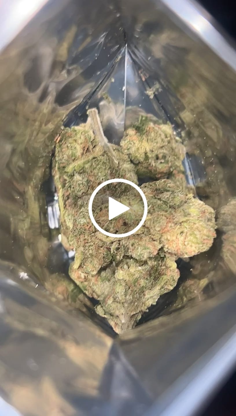 Customer video review of Blue Dream