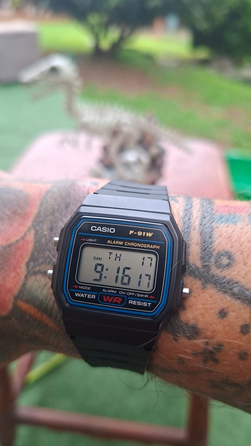 Customer photo review of Reloj Casio Vintage F-91W-1DG Clásico Líneas Azules