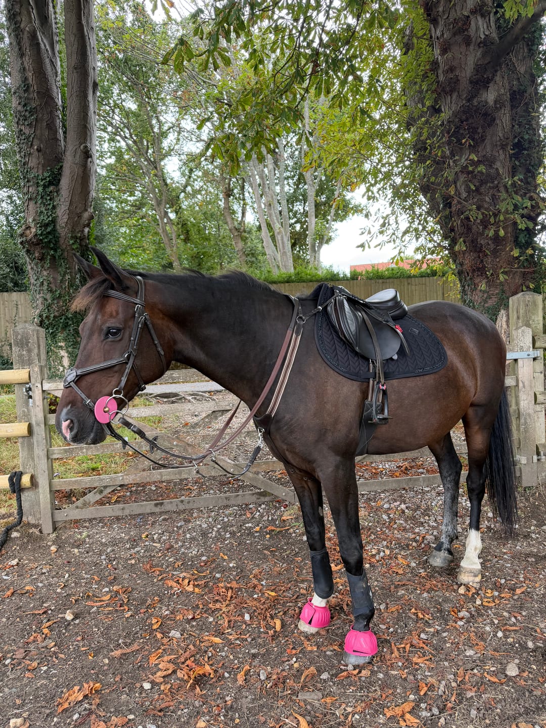 Customer photo review of Bit Guard, Pink