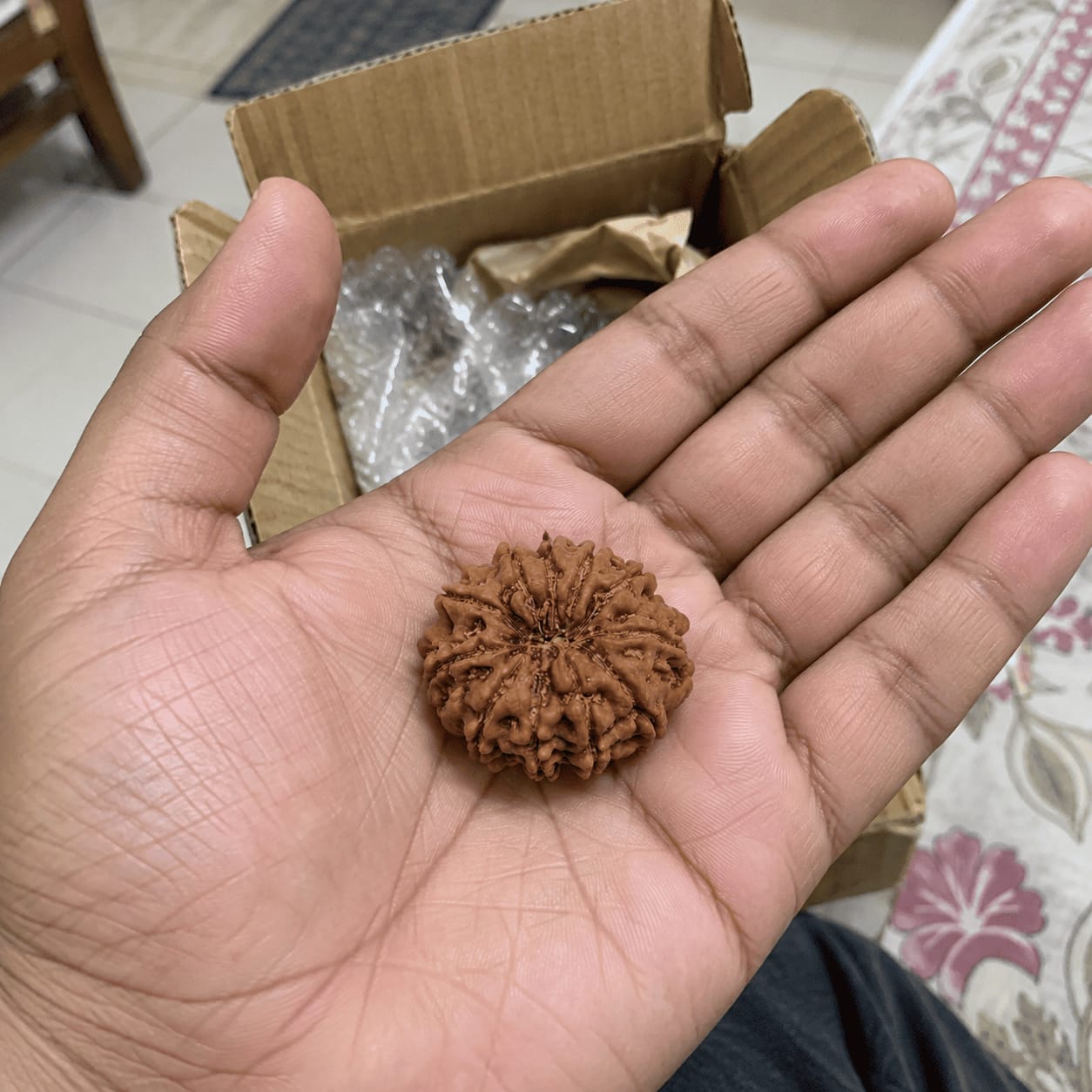 Customer photo review of 11 Mukhi Rudraksha (Nepali)