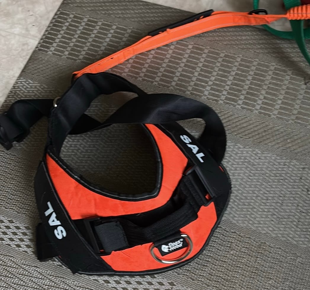 Customer photo review of Dogshood ™ No Pull Harness