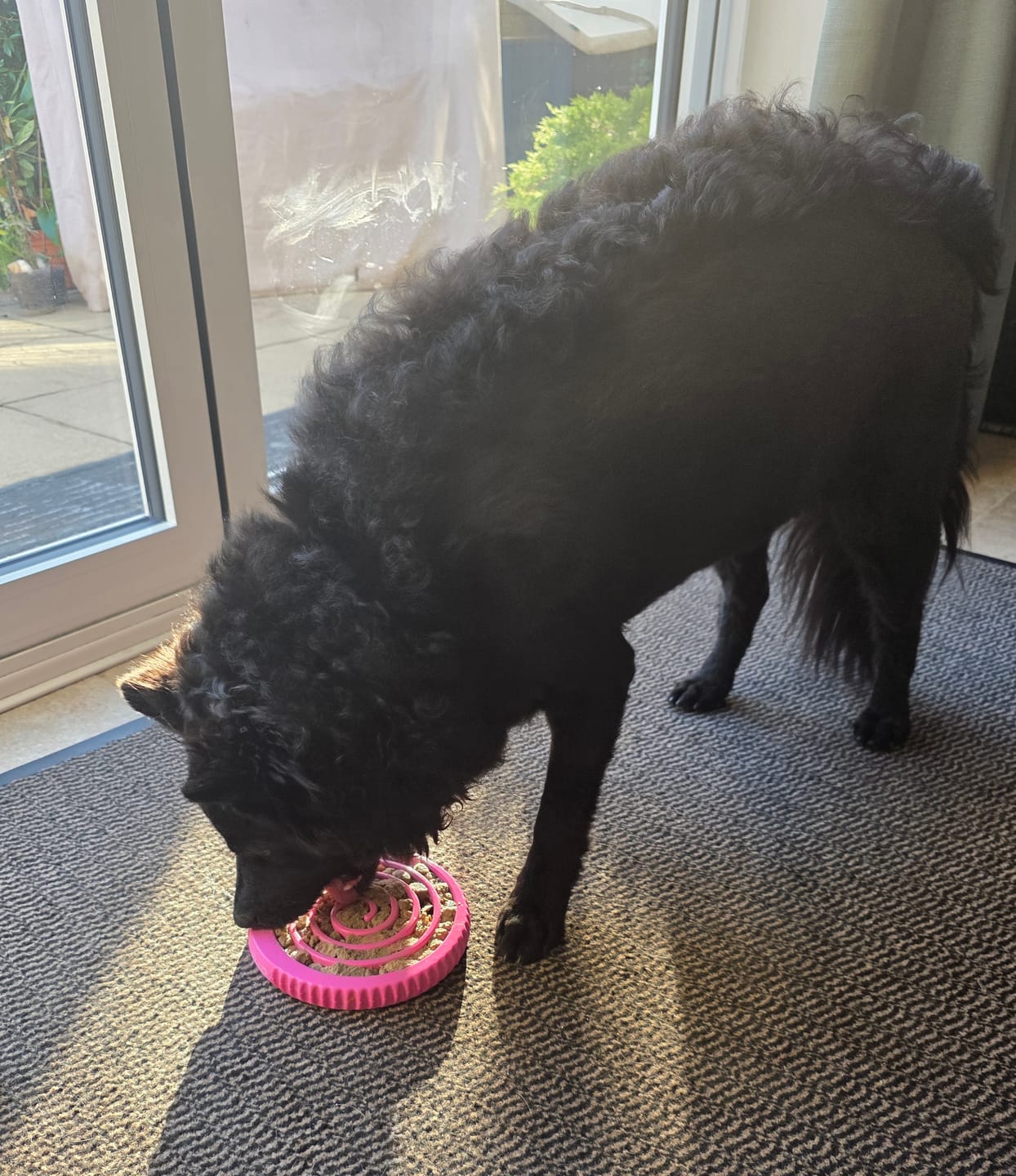 Customer photo review of FreezSwirl - Durable Stimulation Toy