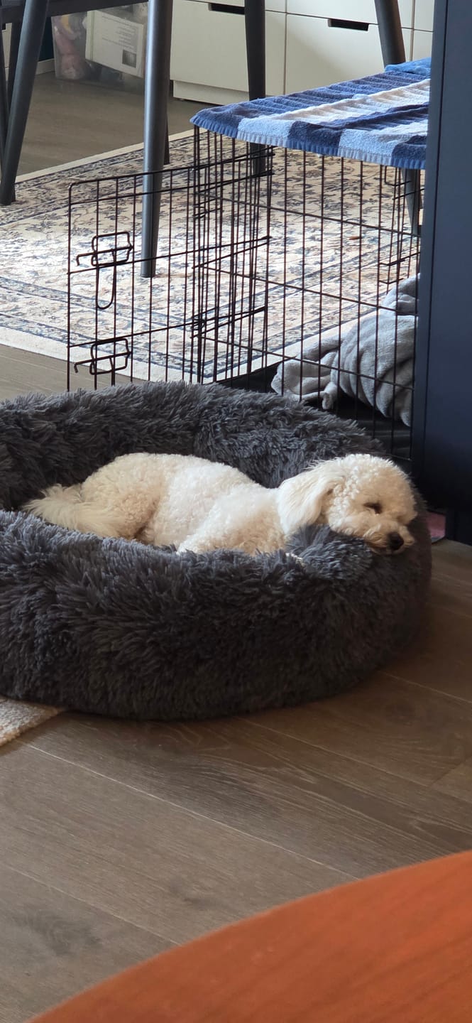 Customer photo review of CalmBed - Motvirker stress & hjelper mot angst