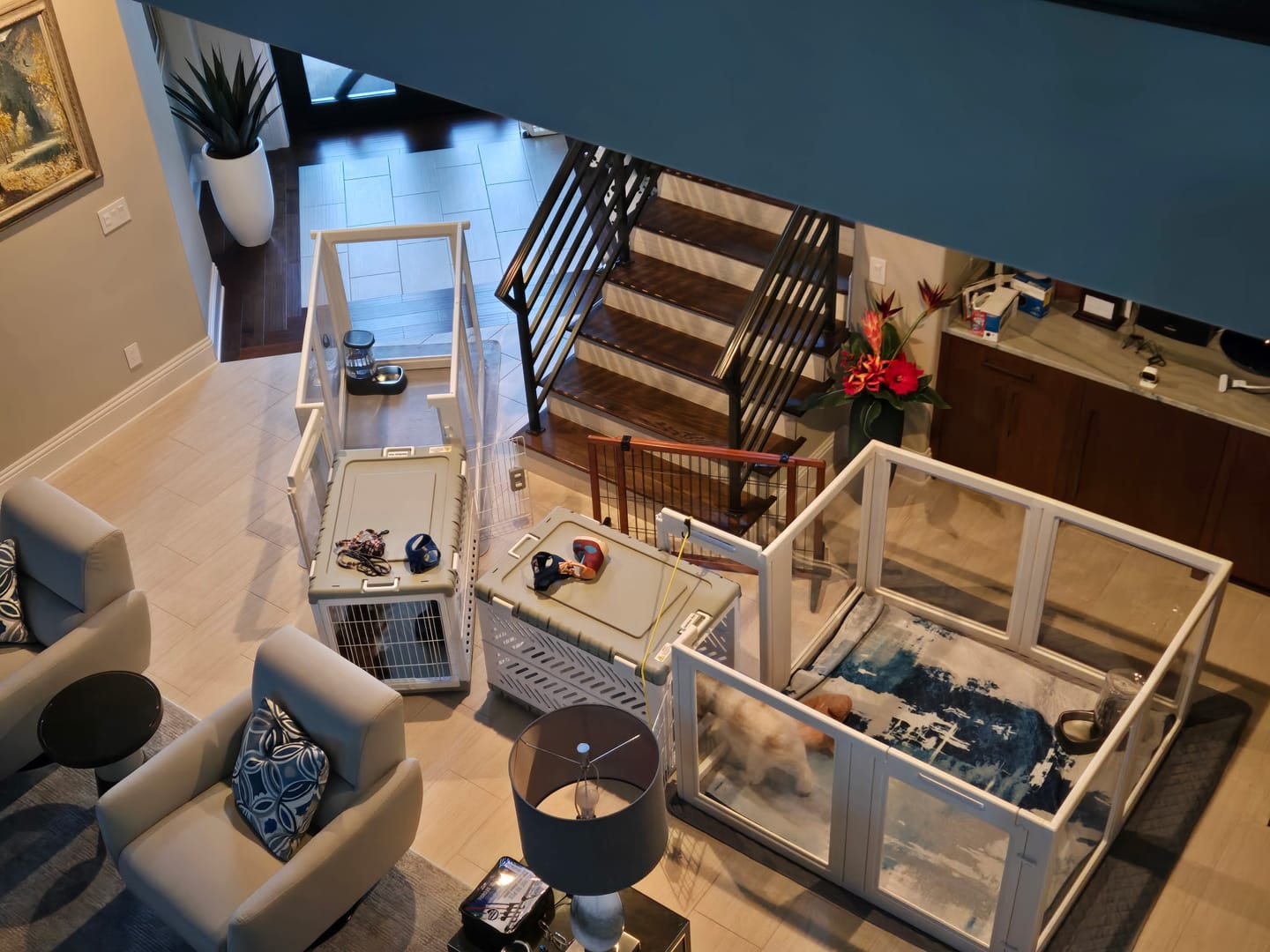 Customer photo review of AuraSpace Acrylic Indoor Dog Playpen for Small to Medium Dogs