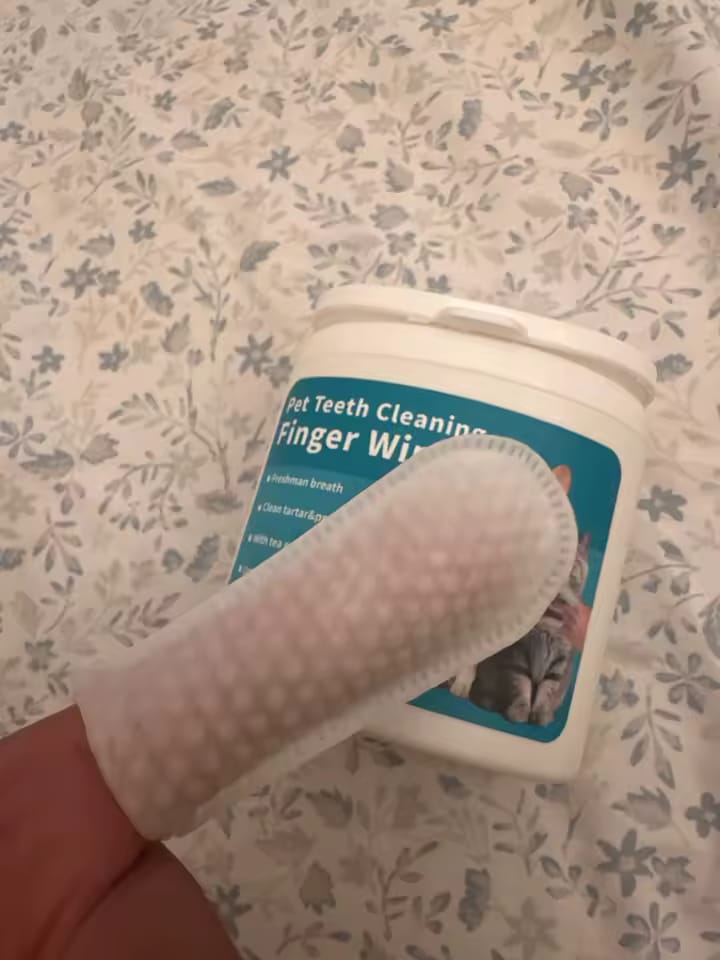 Customer photo review of Natural Dental Finger Wipes for Pets