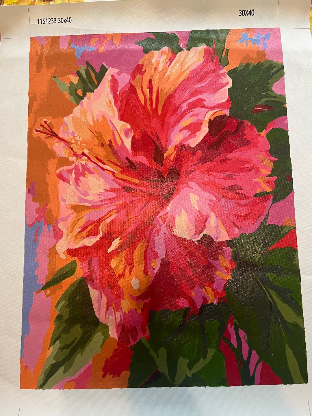 Customer photo review of Surprise Painting | Paint by Numbers