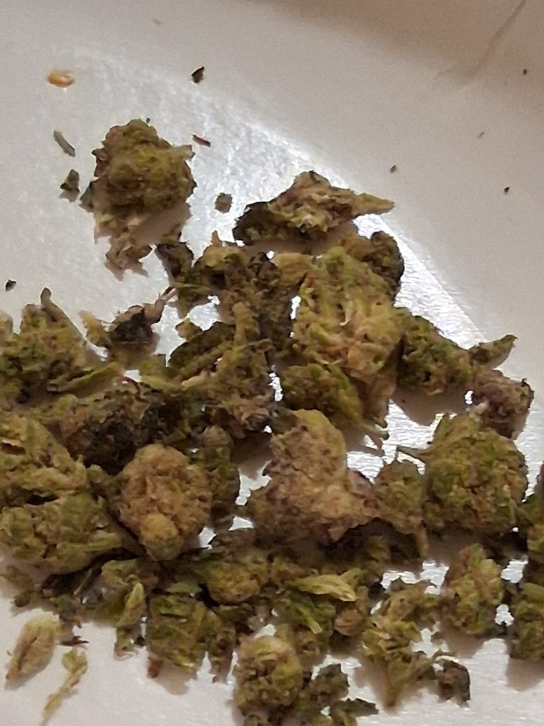 Customer photo review of White Widow - 28 Grams – Hybrid
