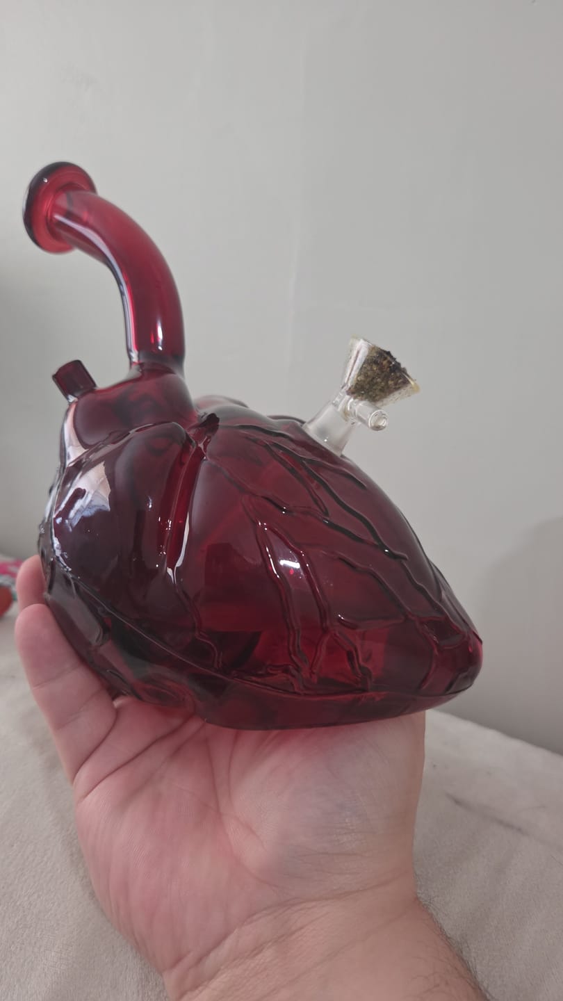 Customer photo review of ANATOMICAL HEART BONG