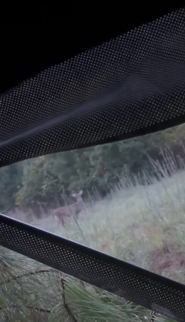 Customer photo review of VisST 270° See Through Ground Blinds | Pop Up Portable Blinds for 2 3 Person Deer Hunting with Silent Magnetic Door