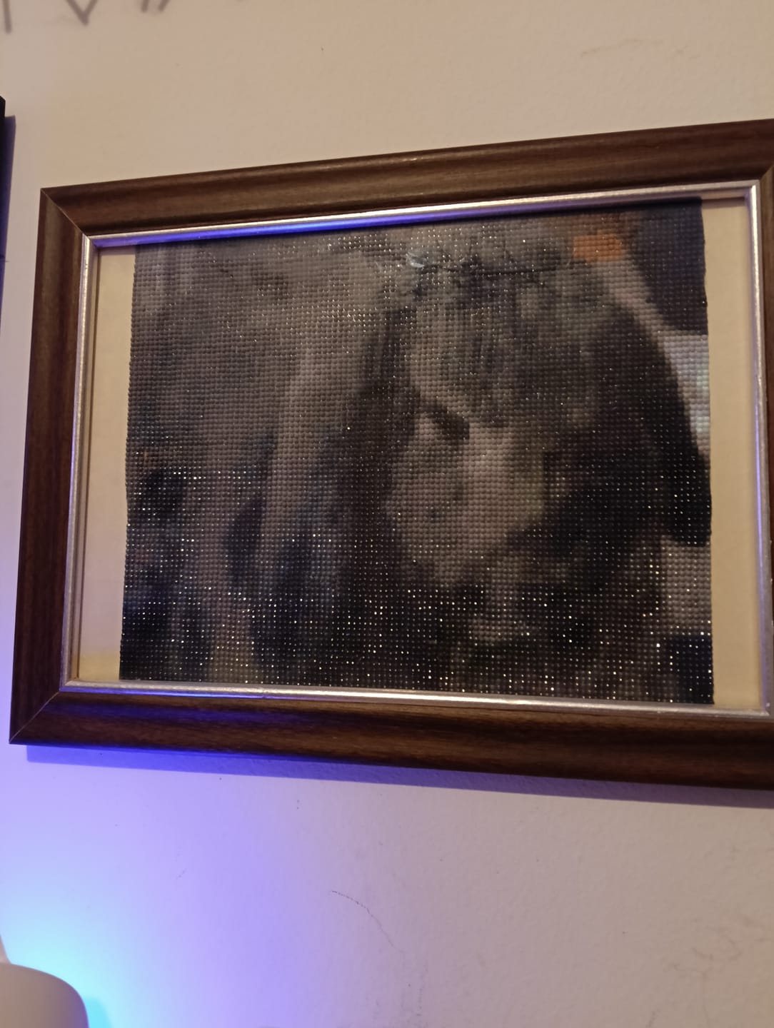 Customer photo review of Custom Diamond Painting