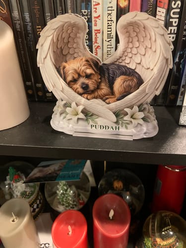 Customer's Custom Pet Angel Wings Memorial plaque, featuring a sleeping Yorkie named Puddah, displayed on a bookshelf.