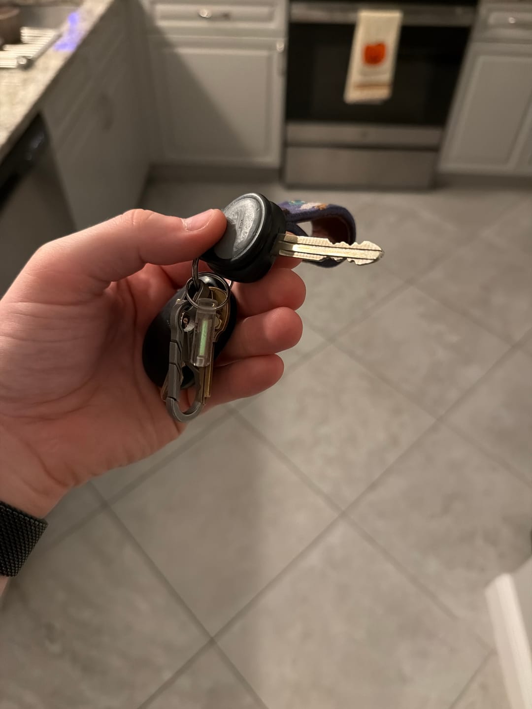 Customer photo review of Ember Glow Fob
