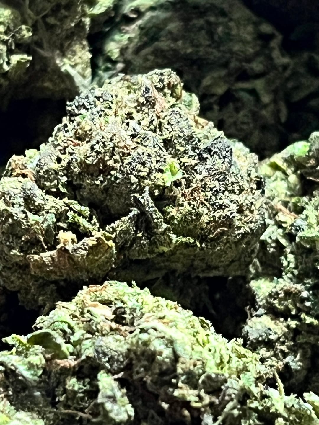 Customer photo review of THCA Queen