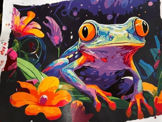 Customer photo review of Vibrant Frog