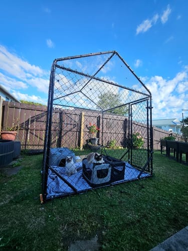 Customer photo review of Aegis Outdoor Dog Run With Roof Cover - 196x196x230cm