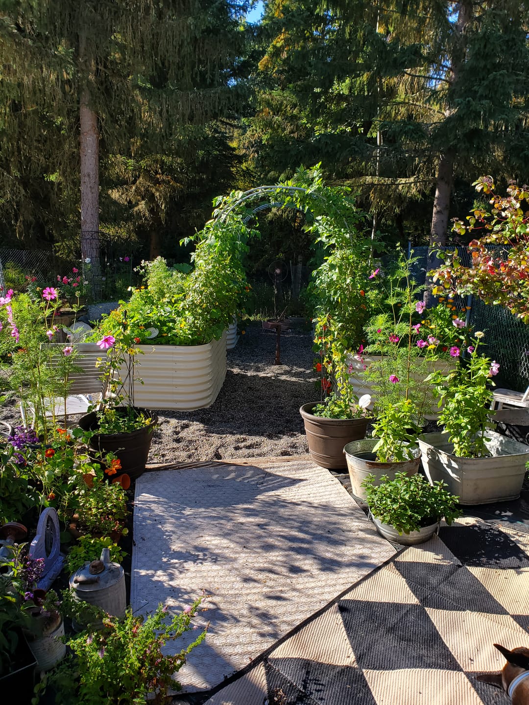 Customer photo review of Arch Garden Trellis