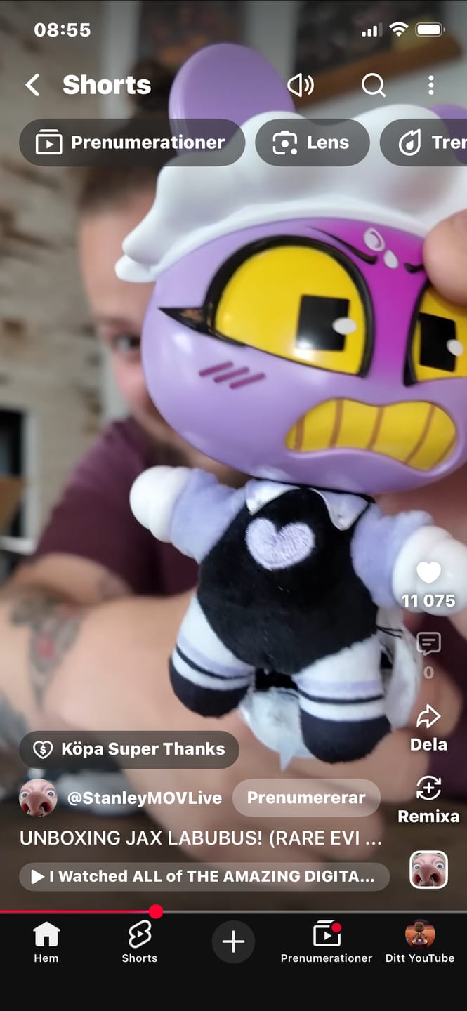 Customer photo review of Digital Circus Animiniz: Main Character Series Blindbox