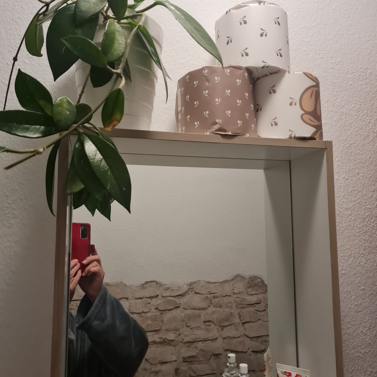 Customer photo review of 100% Bamboo Toilet Paper - 4 ply - 30 meters