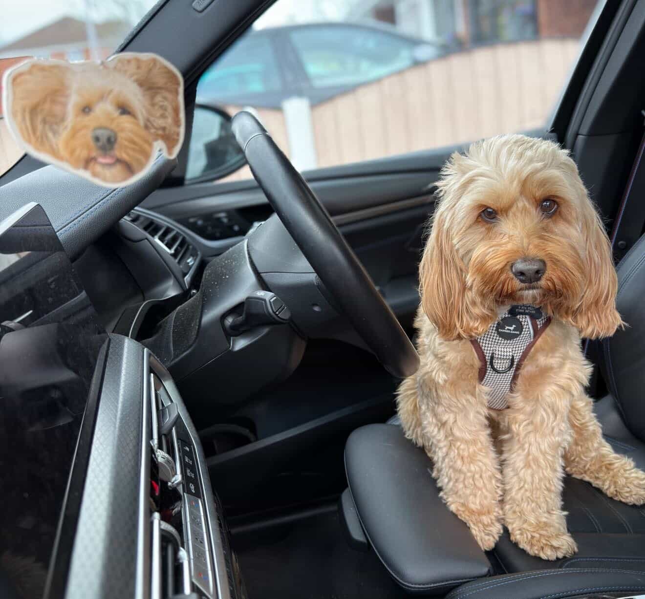 Customer photo review of Personalised Car Air Freshener