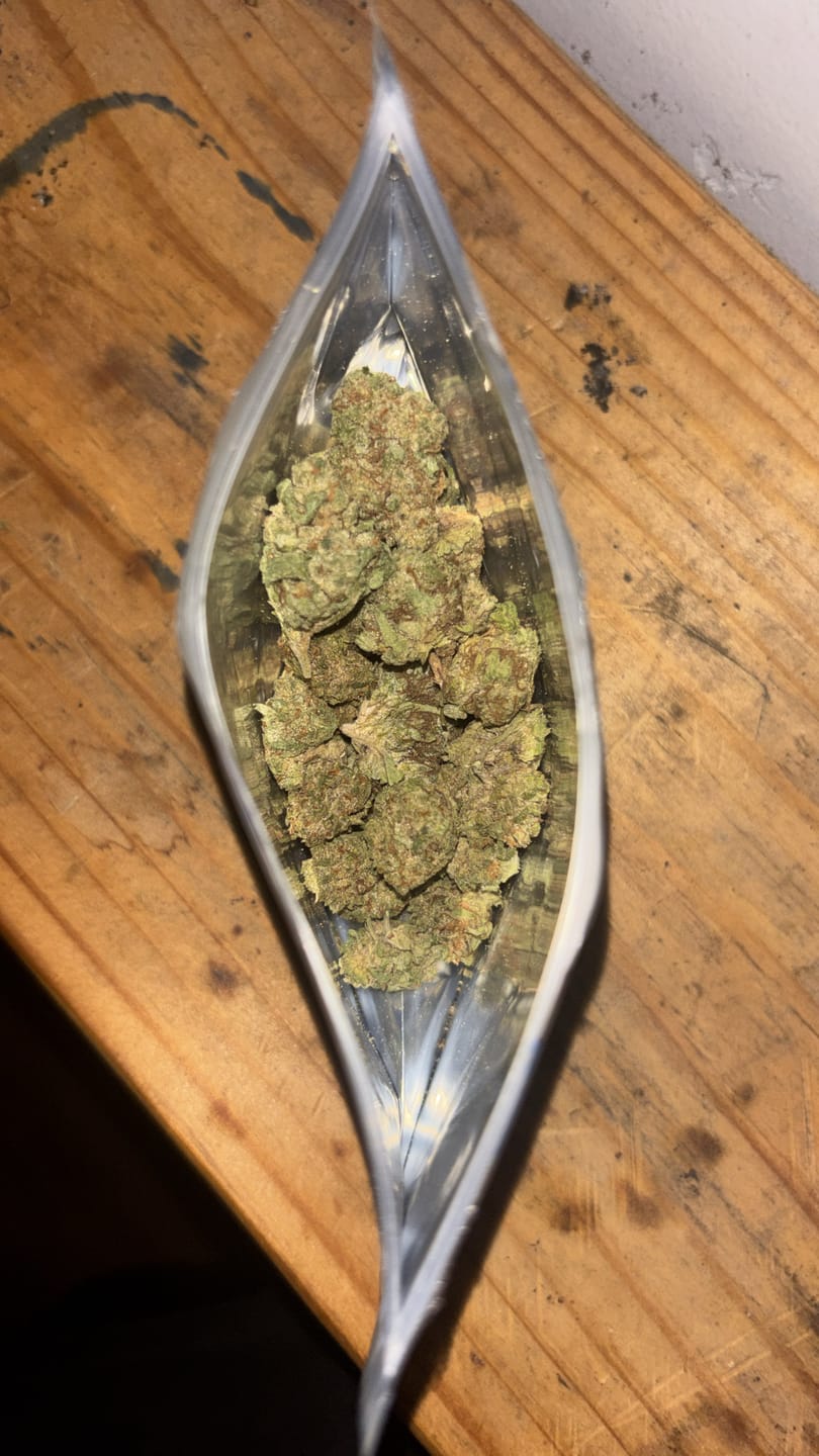 Customer photo review of THC Shot
