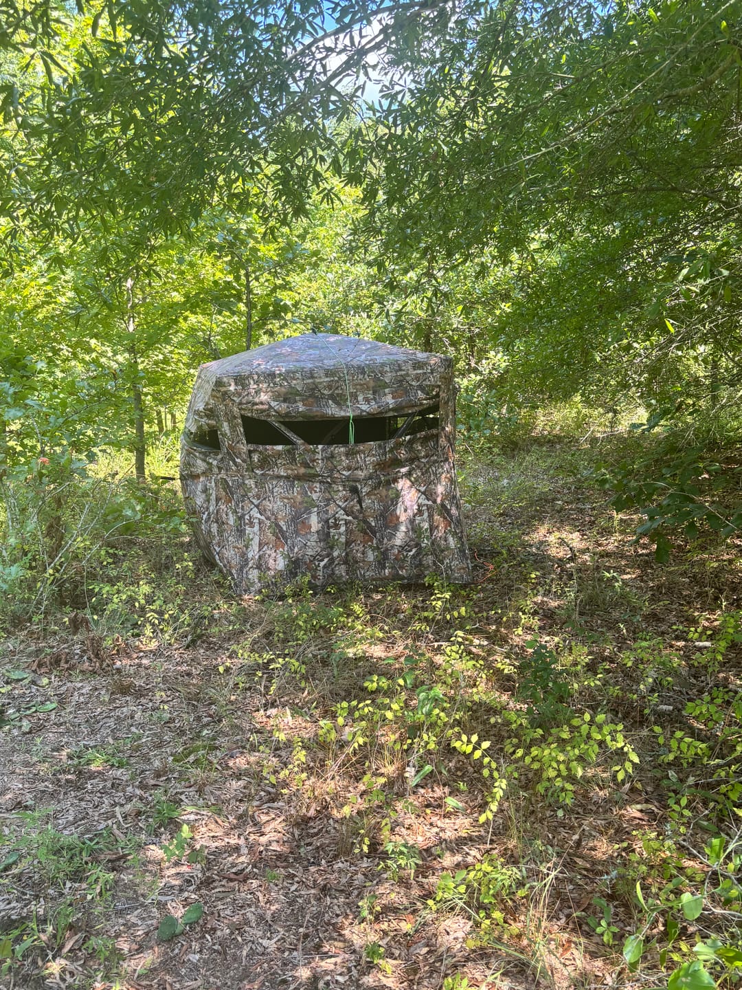 Customer photo review of VisX See Through 300D Hunting Blind 2-3 Person Pop Up Ground Deer Blind