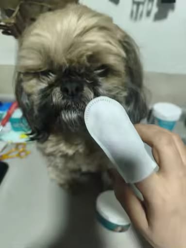 Customer photo review of Natural Dental Finger Wipes for Pets