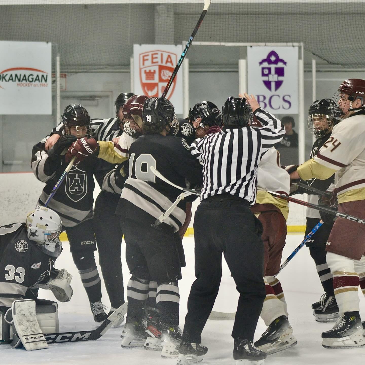 Customer photo review of ZP-PRO HOCKEY REFEREE PADDED PANTS