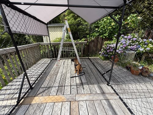 Customer photo review of Aegis Outdoor Dog Run With Roof Cover - 196x389x230cm