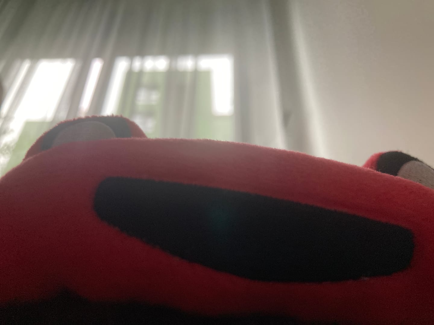 Customer photo review of Miata Slippers