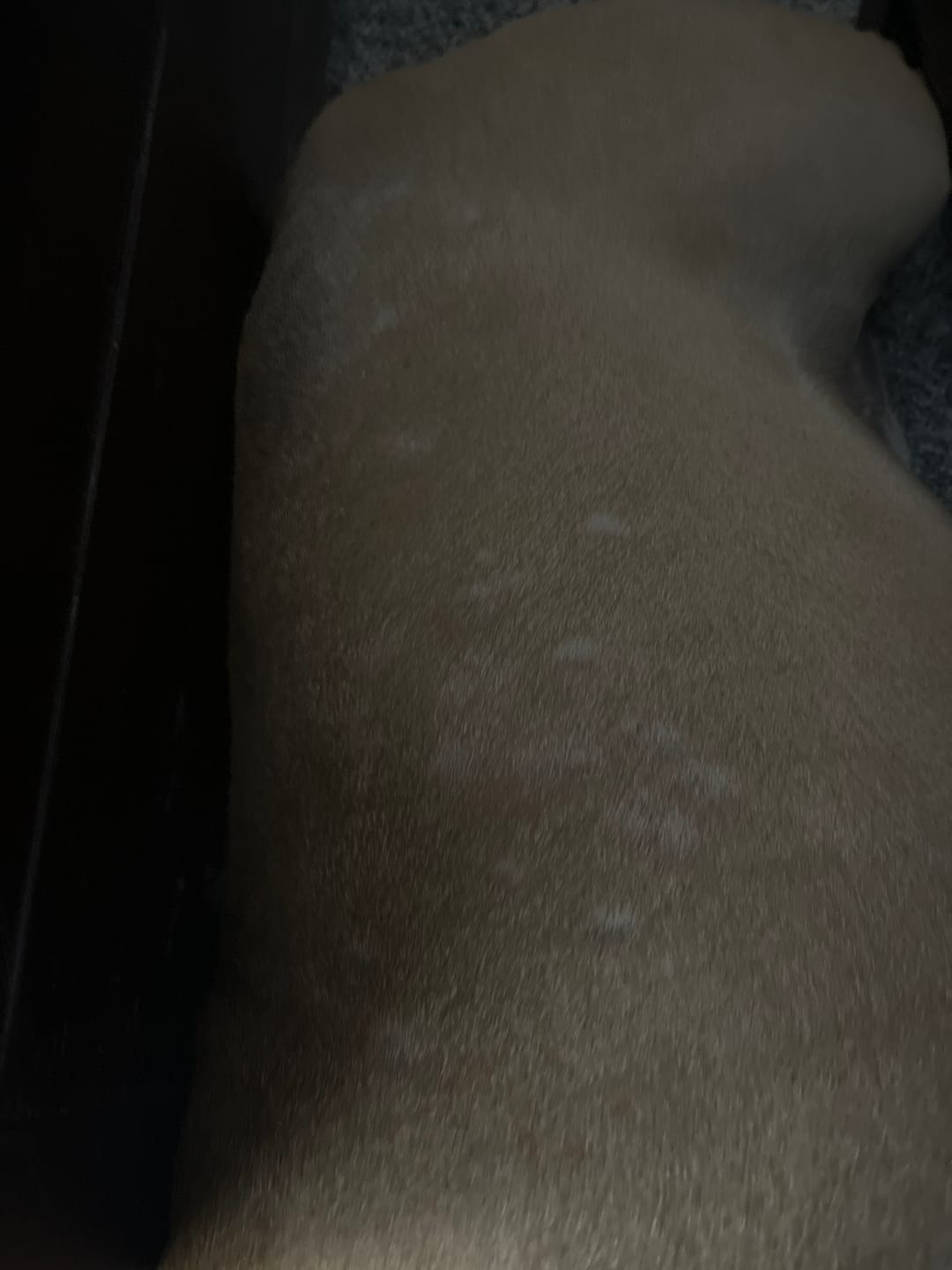 Customer photo review of Daily Preventative Powder