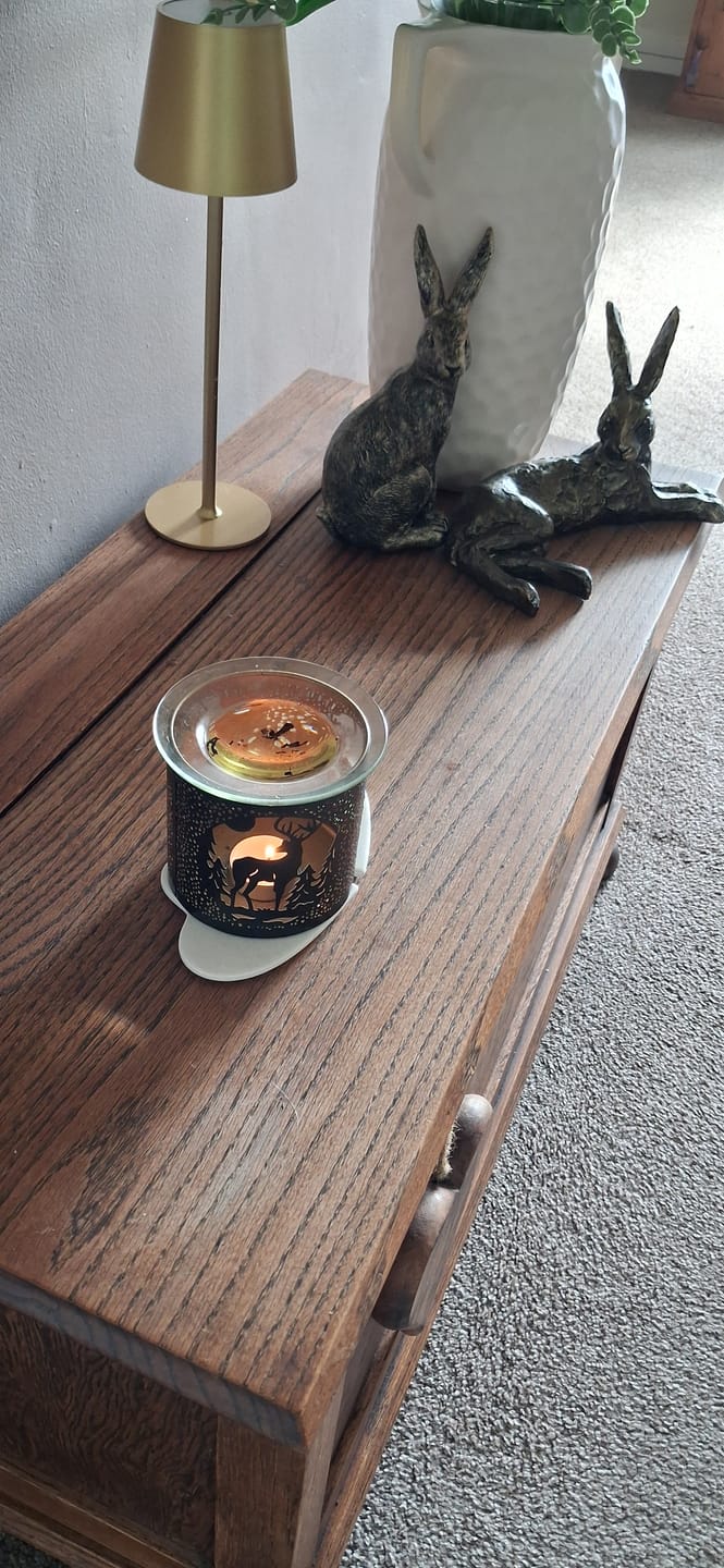 Customer photo review of Arabian Silk Wax Melts