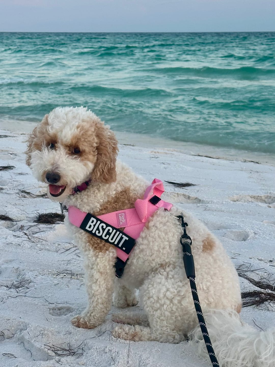 Customer photo review of Custom Name Patch