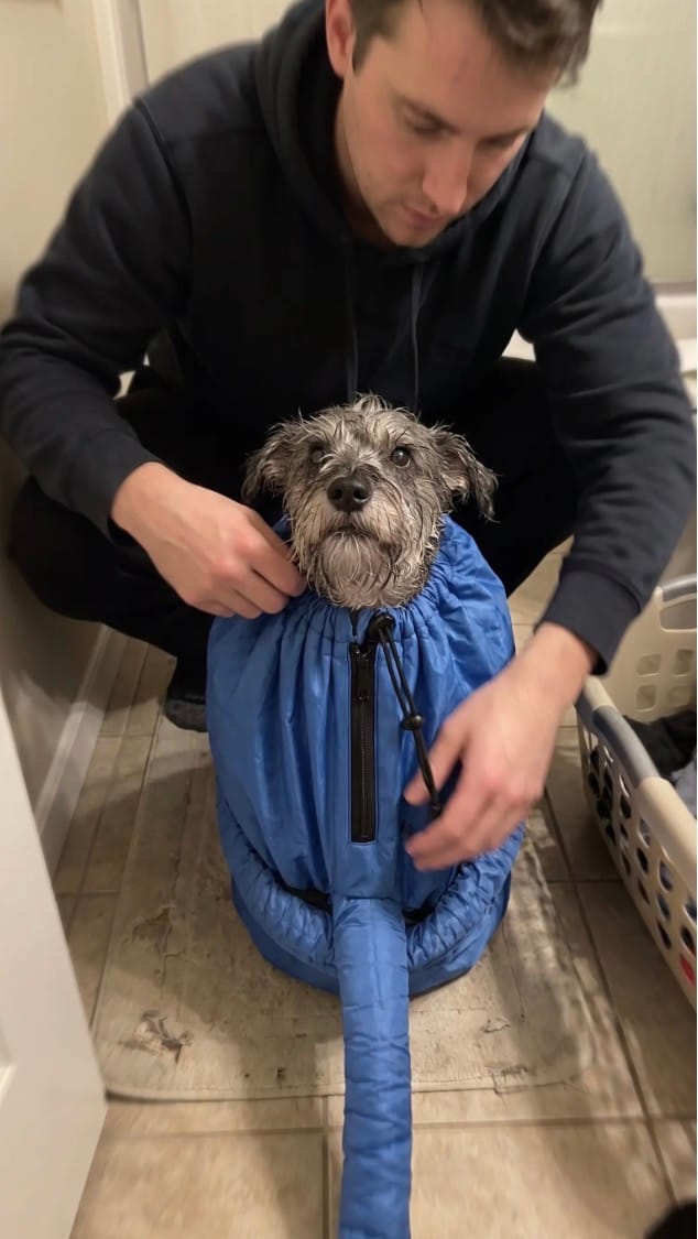 Customer photo review of asciugabau - PetDry