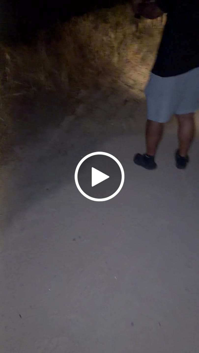 Customer video review of 100% USA Made Super Safety with Flat Trigger – On Sale $89.99