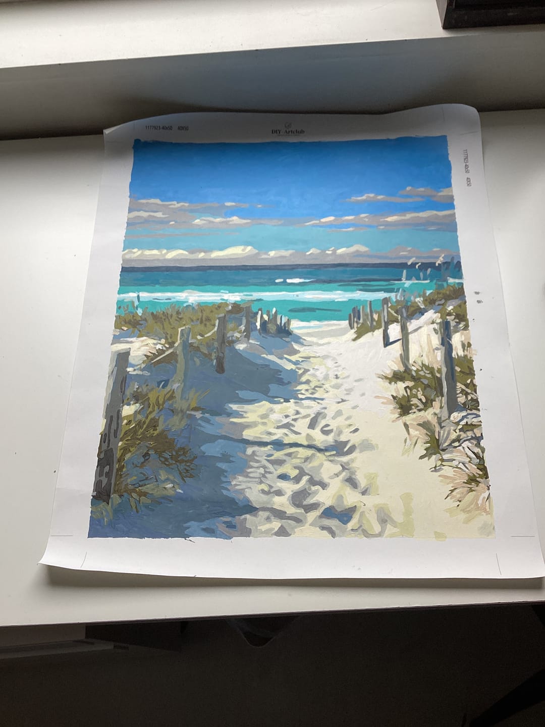 Customer photo review of Beach Path | Paint by Number