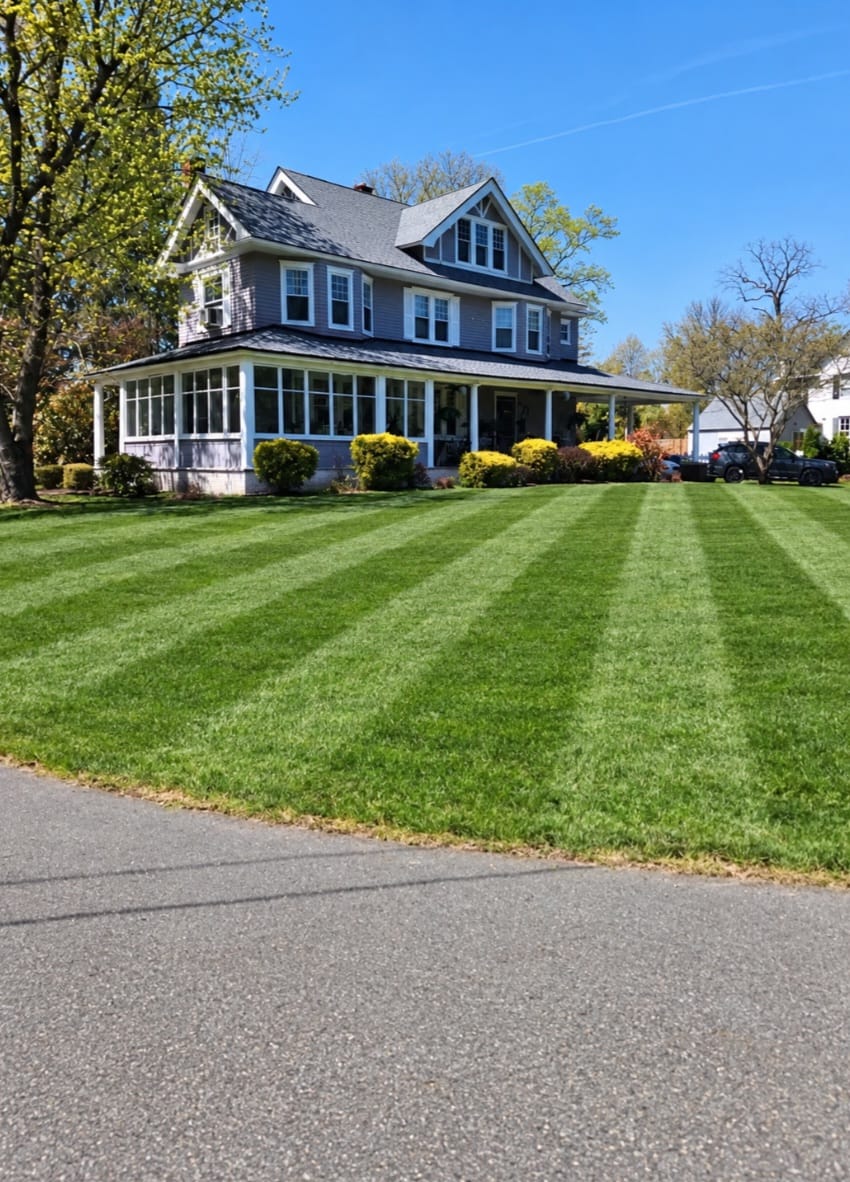Customer photo review of Broominator — Turn Any Mower Into a Striping Machine