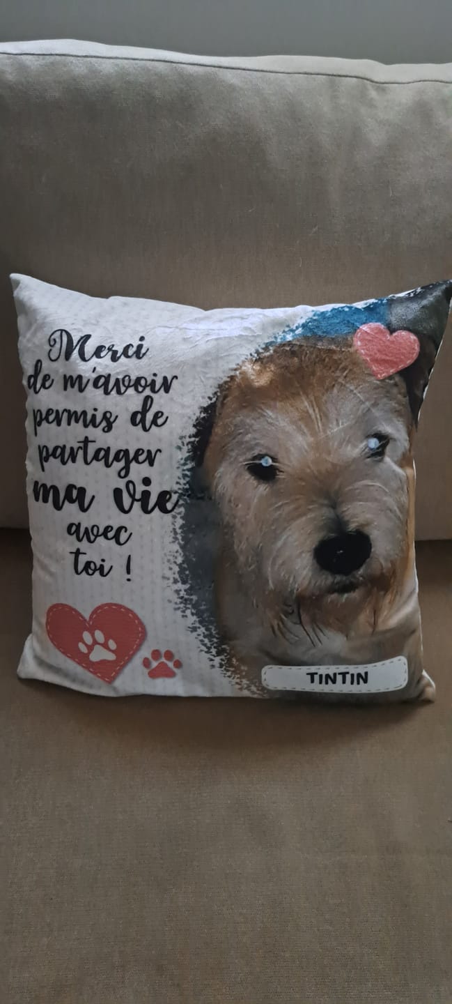 Customer photo review of Merci - Coussin personnalisé