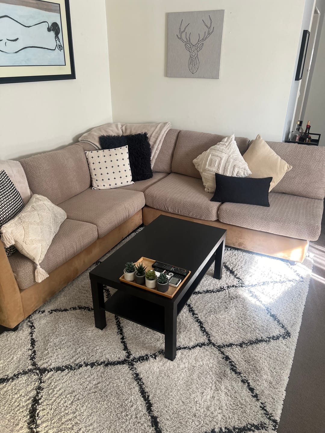 Customer photo review of Couch Covers - Classic
