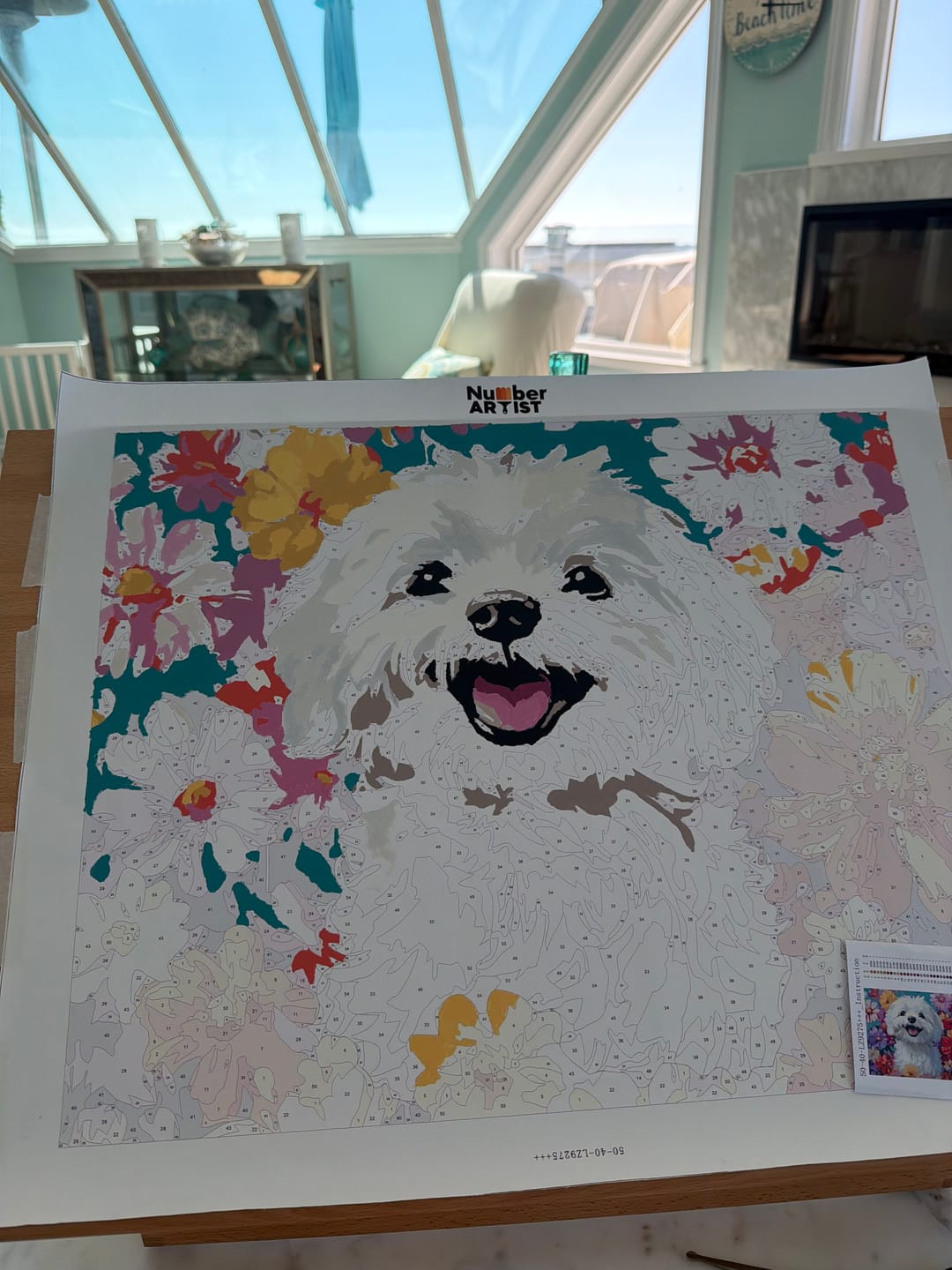 Customer photo review of Bichon Frise