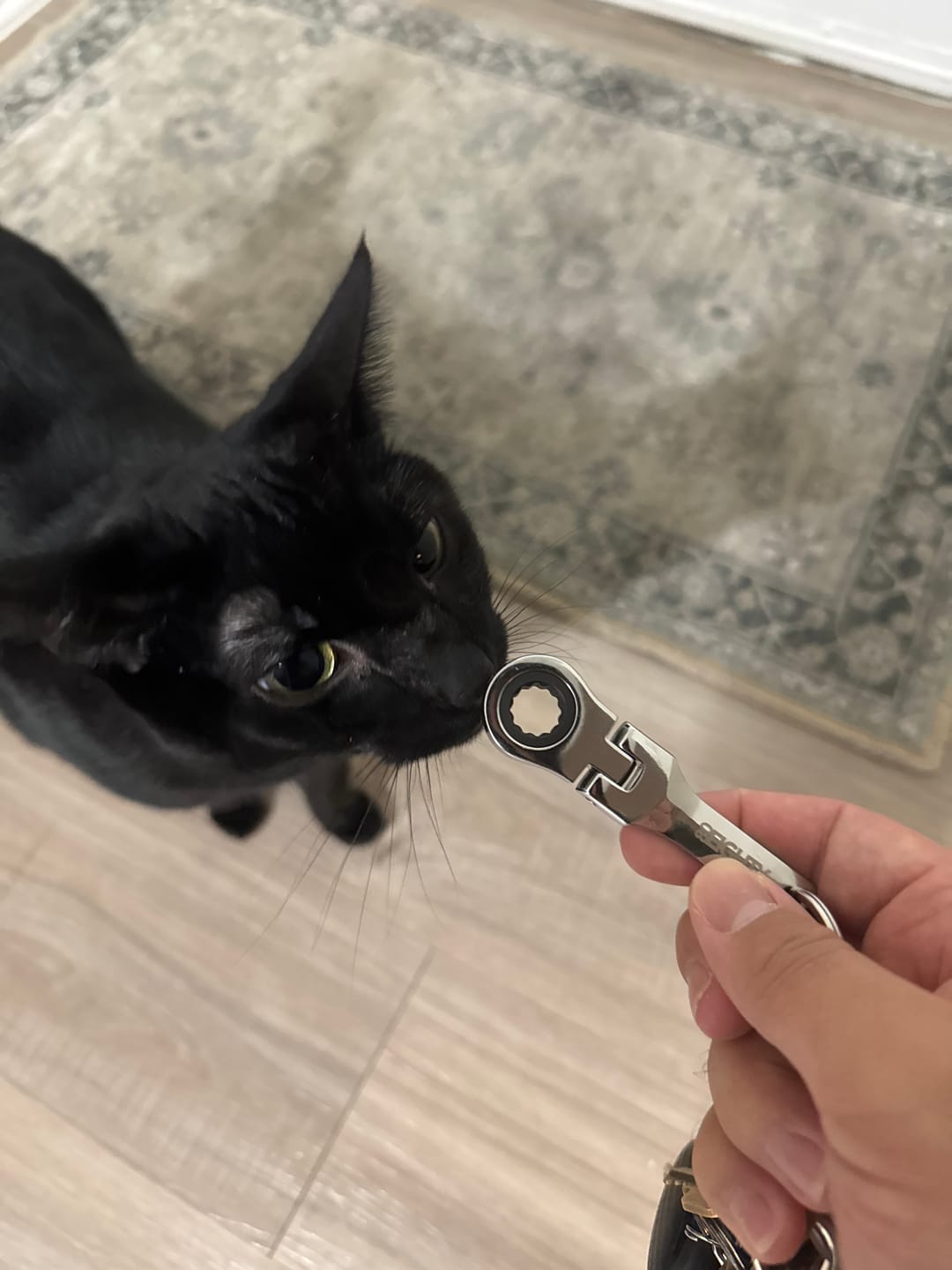 Customer photo review of 80Eighty® 10mm Wrench Keychain