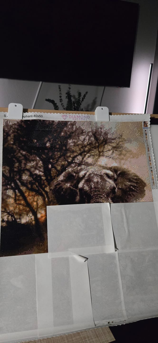 Customer photo review of African Elephant