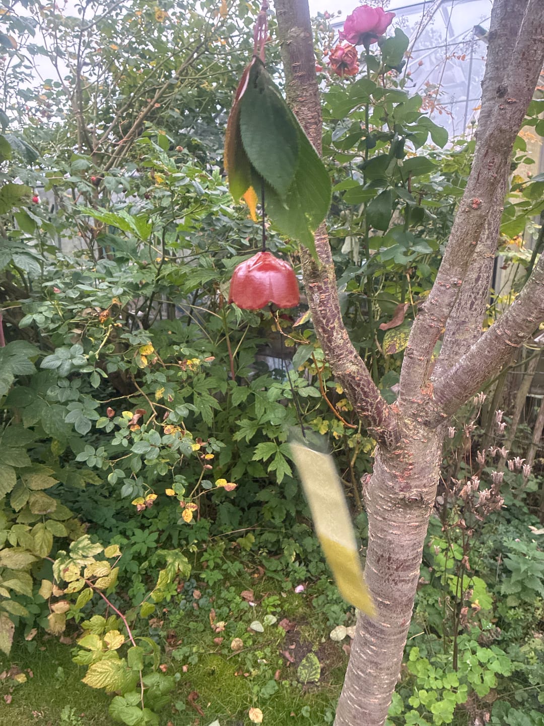 Customer photo review of Japansk Vindklokke Fūrin – Ume Blommeblomst